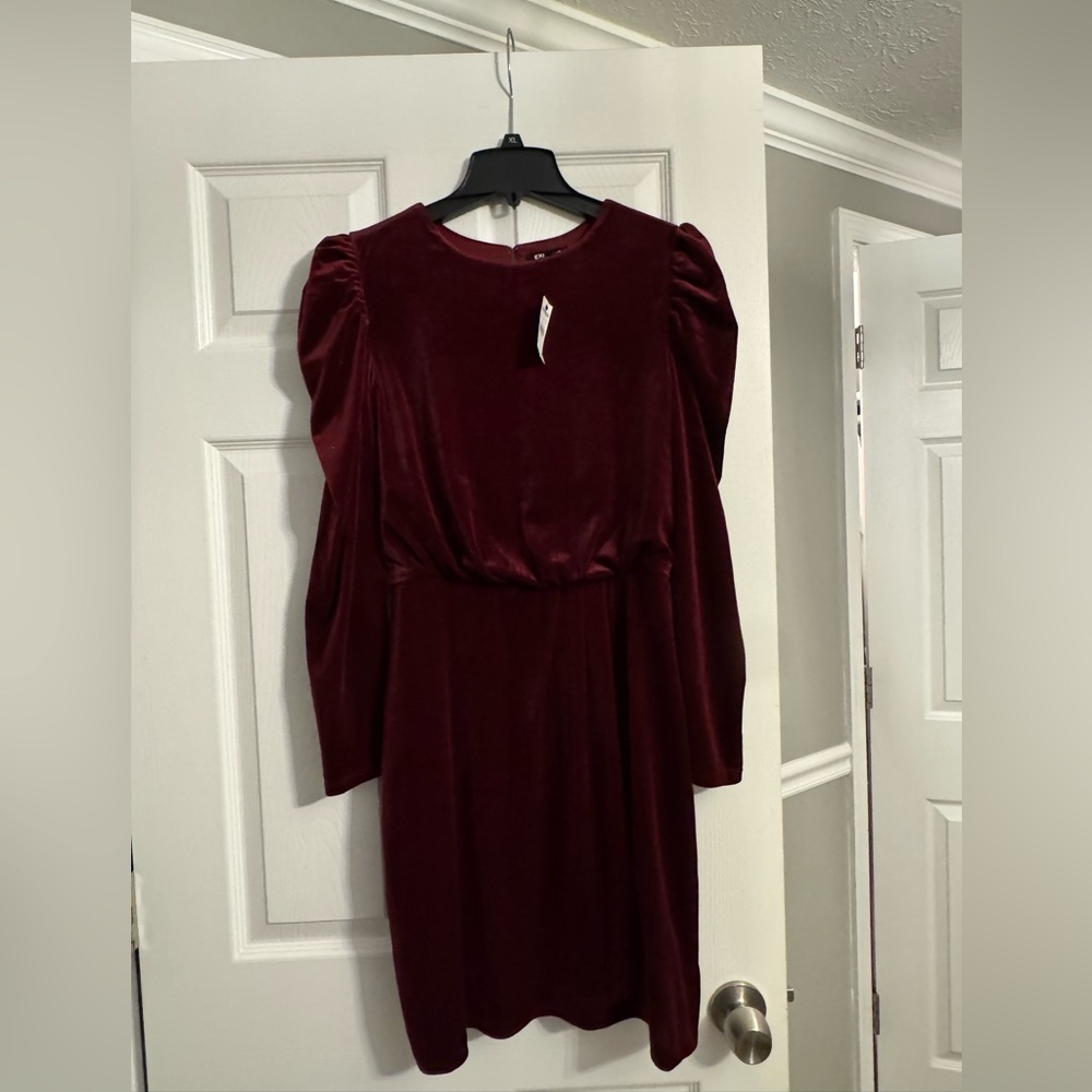 Express Deep Red Long Sleeve Velvet Dress